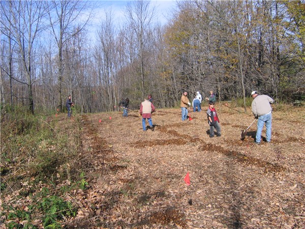 paulsonshrubplanting